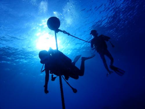 サイパン ダイビング