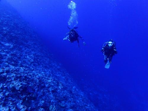 サイパン ダイビングライセンス