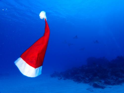 サイパン 体験ダイビング