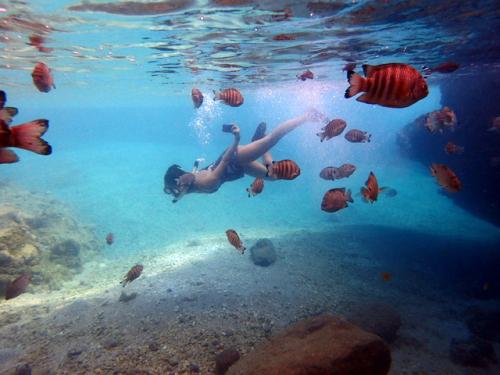 サイパン 体験ダイビング