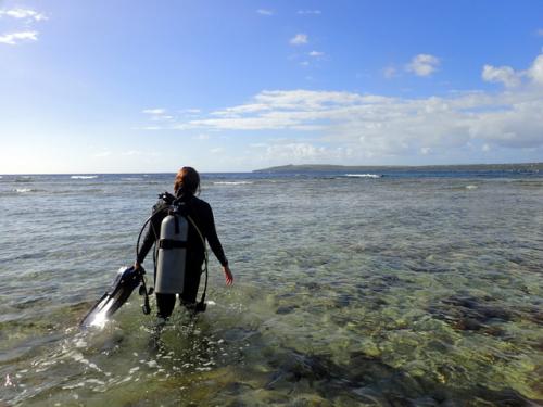サイパン ダイビング
