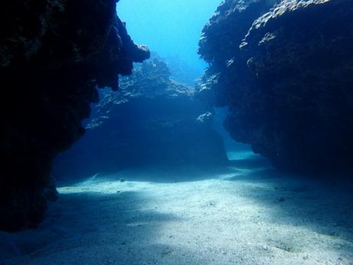 サイパン ダイビングライセンス