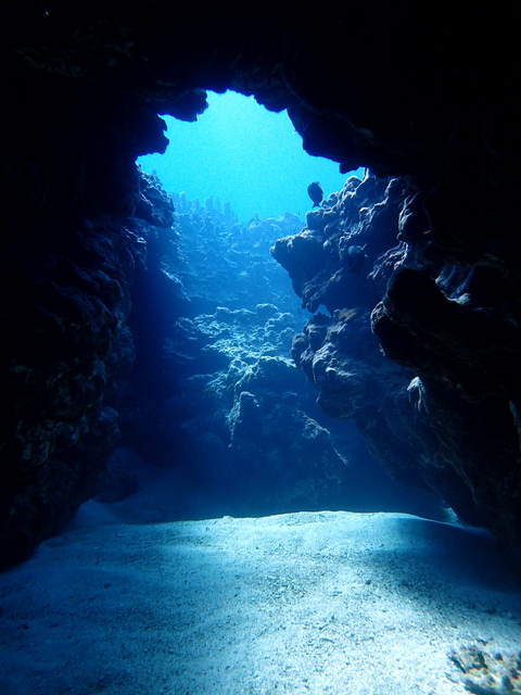 サイパン ダイビングショップ