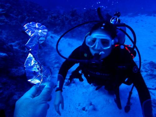 サイパン ダイビングライセンス