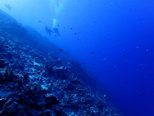 サイパン ダイビングショップ