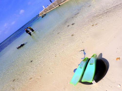 サイパン ダイビングライセンス