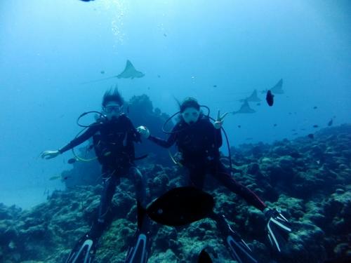 サイパン 体験ダイビング
