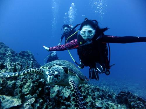 サイパン ダイビング