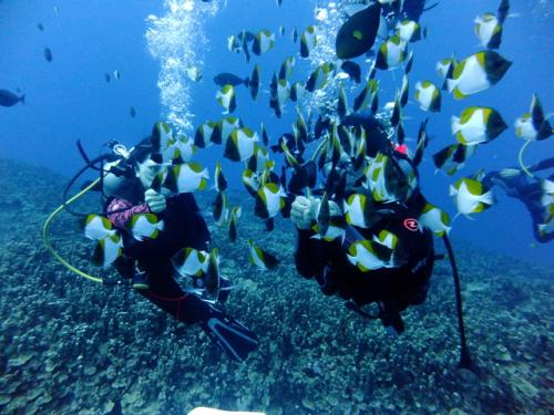 サイパン 体験ダイビング