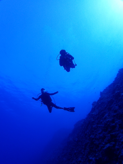 サイパン ダイビングショップ