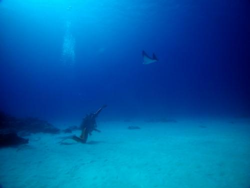 サイパン ダイビングショップ