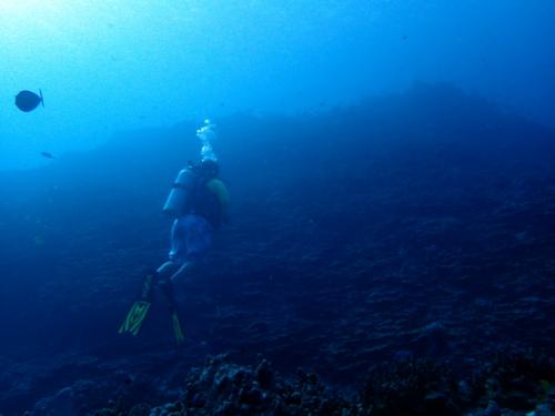 サイパン ダイビング