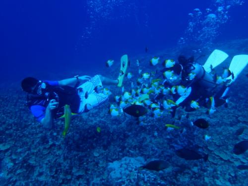 サイパン ダイビング