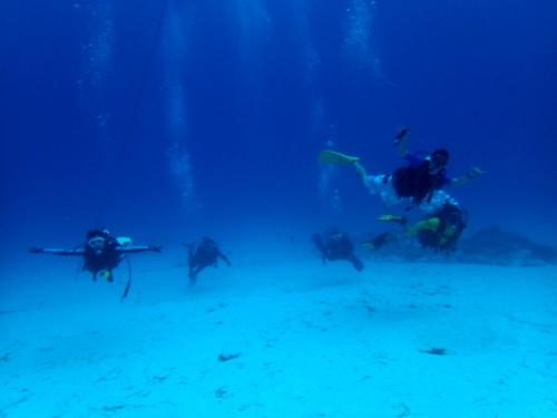 サイパン ダイビングライセンス