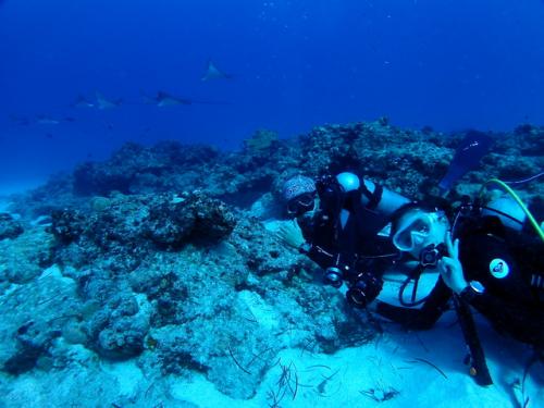 サイパン 体験ダイビング