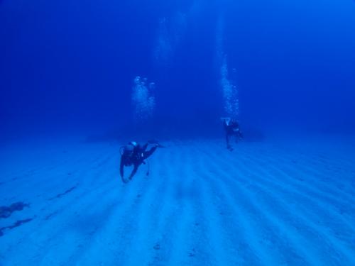 サイパン ダイビングショップ