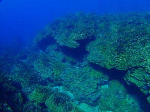 サイパン ダイビング