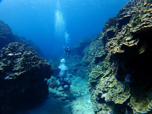 サイパン 体験ダイビング