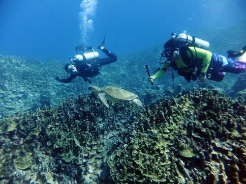 サイパン 体験ダイビング