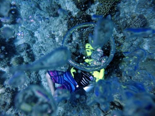 サイパン ダイビングライセンス