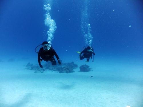 サイパン ダイビングショップ