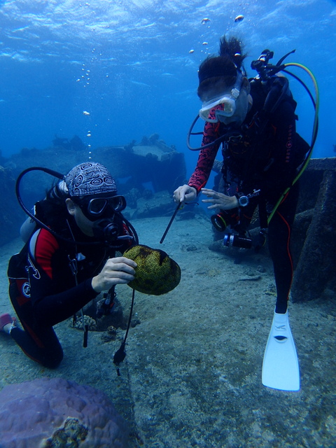 サイパン ダイビング