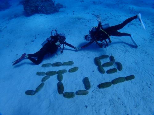 サイパン ダイビング