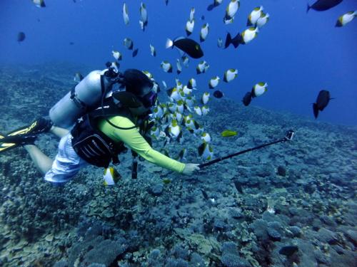サイパン ダイビングショップ