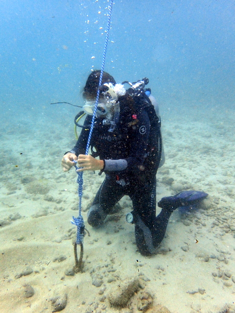 サイパン ダイビングライセンス