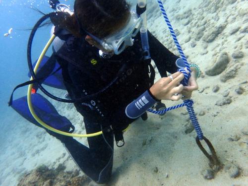 サイパン ダイビングライセンス