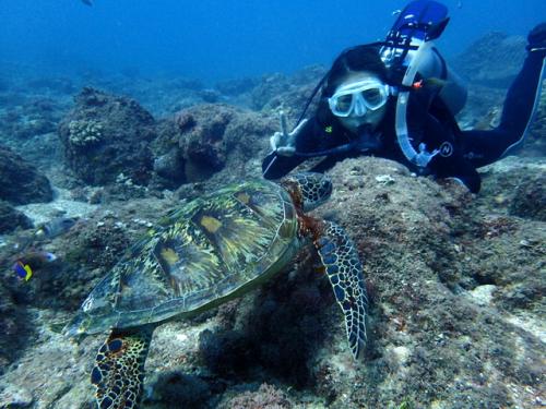 サイパン ダイビングショップ