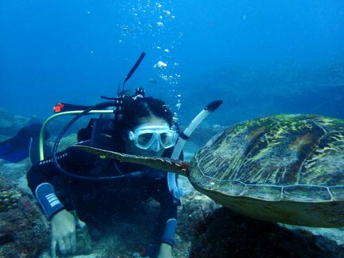 サイパン ダイビング