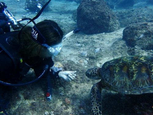 サイパン 体験ダイビング