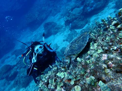 サイパン ダイビングライセンス