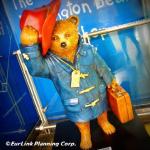 くまのパディントン