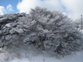 別府ロープウェイ