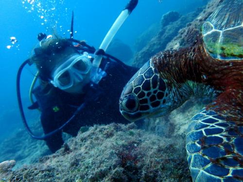 サイパン ダイビングライセンス