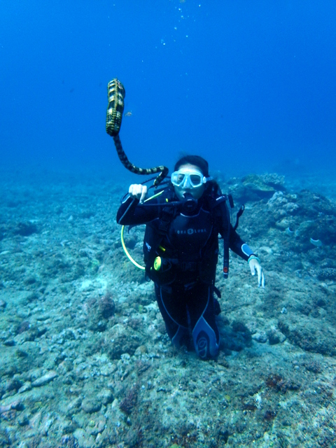 サイパン ダイビング