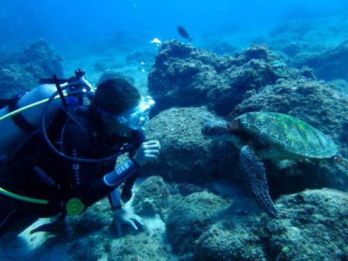 サイパン ダイビング