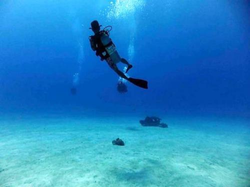 サイパン 体験ダイビング