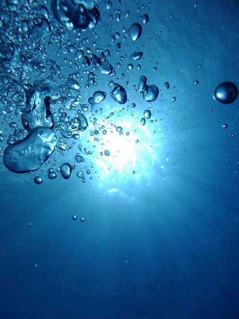 サイパン ダイビングライセンス