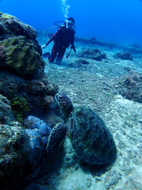 サイパン ダイビング