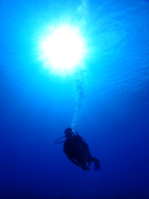 サイパン ダイビング