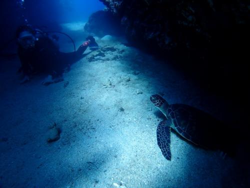 サイパン ダイビングライセンス