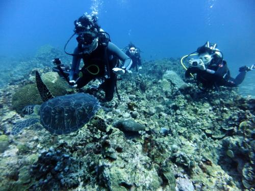 サイパン ダイビングライセンス