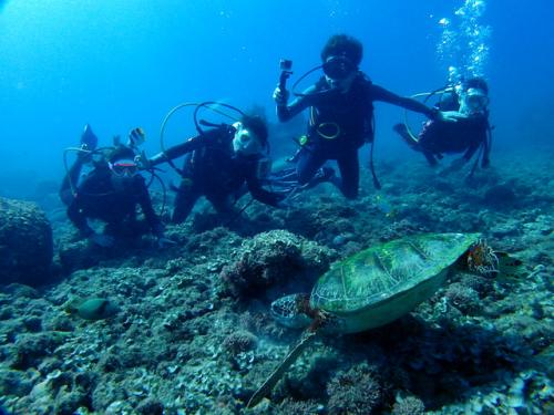 サイパン ダイビング