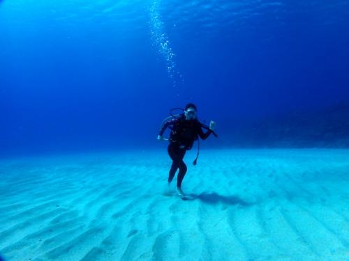 サイパン ダイビングライセンス