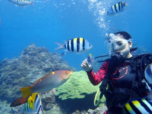 サイパン ダイビング