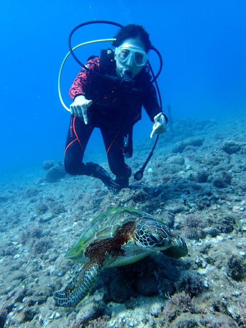 サイパン ダイビング