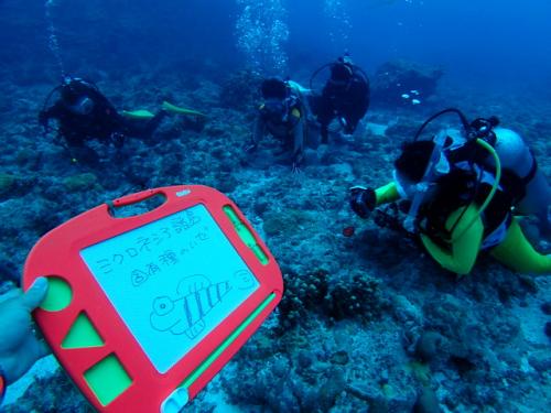 サイパン ダイビング